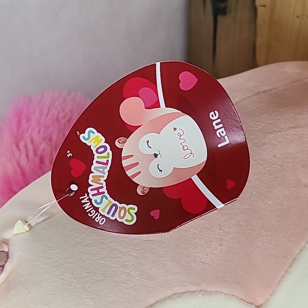 "Lane" the peach squirrel V-Day 2023 Squishmallows NWT 11" - Picture 4 of 5